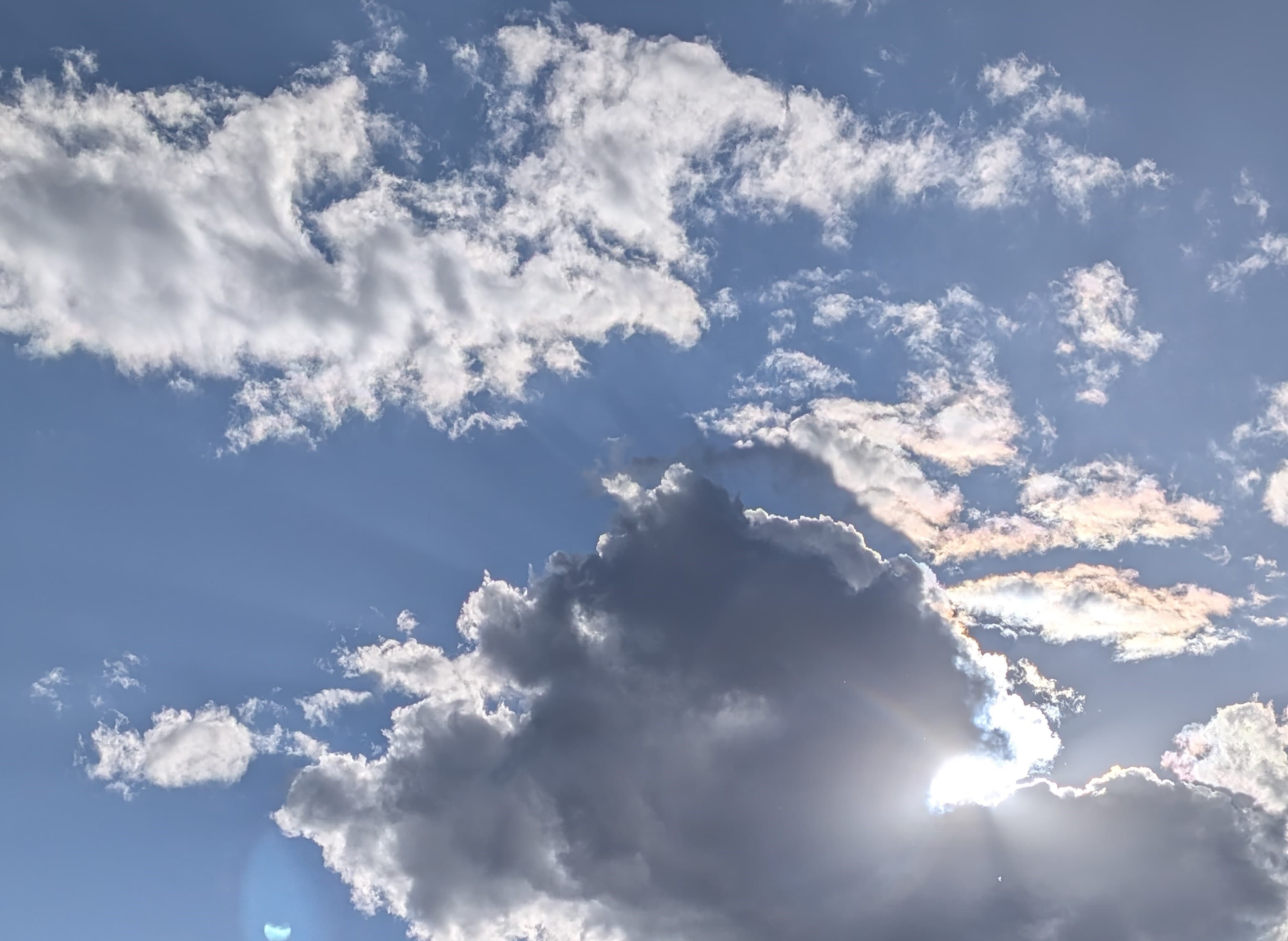 Gallery Hero Background